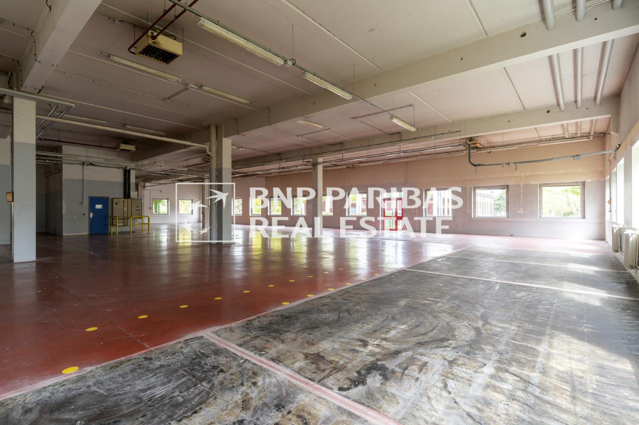 Local d'activité Antony 2535m² Location local d'activité Antony Hauts-de-Seine OLACT2309797 9